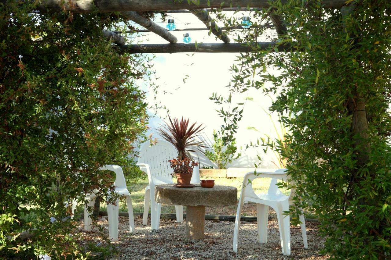Quinta Do Rio Country Inn Silves Extérieur photo
